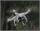 DJI Phantom 2 H3-3D RTF (neue Version), DJI-P2Z200, DJIP2Z200